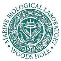 Marine Biological Laboratory, Woods Hole, MA